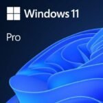 Microsoft Windows 11 Professionnel 64 bits Français (Licence originale + DVD) (FQC-10532)