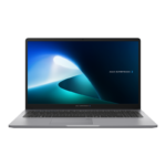 Ordinateur Portable Asus ExpertBook P1 P1503CVA-NJ0991(90NX0881-M01320)